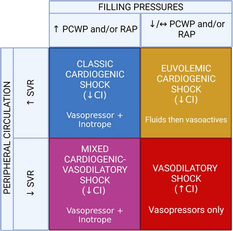 The Management of Cardiogenic Shock From Diagnosis to Devices